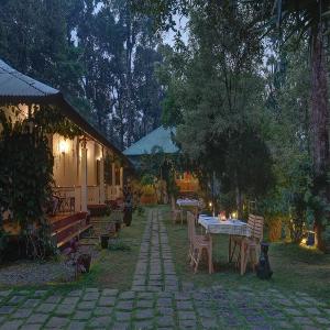 Dew Drops Farm Resort, Munnar
