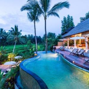Calma Ubud Suite & Villas - Rice Fields View Infinity Pool !