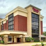 Drury Inn & Suites The Woodlands