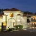 Hotels near Destination Daytona - Super 8 by Wyndham Ormond Beach