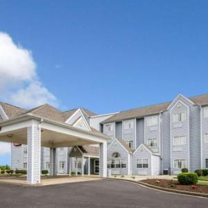 Hotels near Ellis Park Racing Henderson - Econo Lodge Inn & Suites Evansville