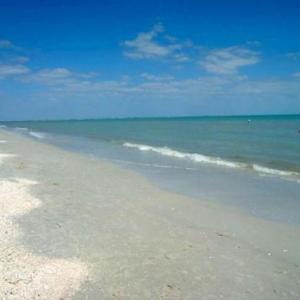 Loggerhead Cay #323