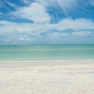 Shell Island Beach Club #5B