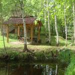 House at the lake 