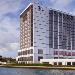 Scout Bar Houston Hotels - Hilton Houston NASA Clear Lake