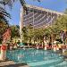 Hotels near Caesars Palace - Flamingo Las Vegas Hotel & Casino