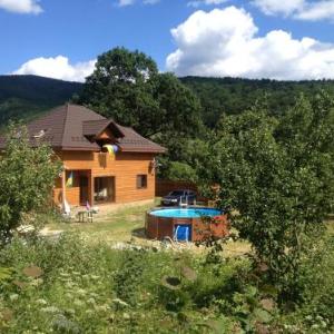 Guest House Pid Dubom Карпати Під Дубом