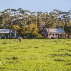 Hotels near Waurn Ponds Shopping Centre - Freshwater Creek Cottages & Farm Stay