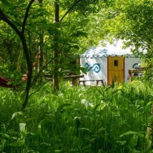 Plush Tents Yurt Village