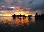 Apia Western Samoa Hotels - Coconuts Beach Club Resort And Spa