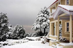 Tree of Life Grand Oak Manor, Binsar Wildlife Sanctuary, Almora