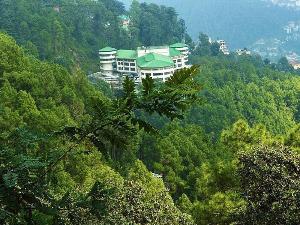 Hotel C K International, Shimla