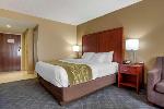 Baton Rouge Louisiana Hotels - Comfort Inn University Area