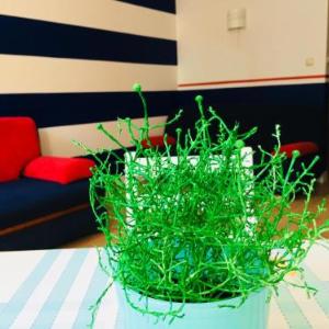 Apartamenty Zamki na piasku