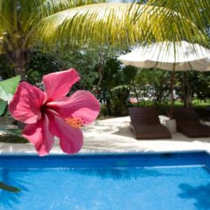 Sotavento Hotel & Yacht Club hotel in Cancún