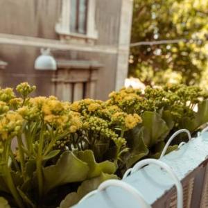 B&B Palazzo Cerami
