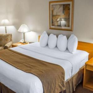 Hotels near David Story Field - Quality Inn & Suites Longview Kelso