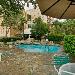 Hotels near San Antonio Zoo - The Crockett Hotel