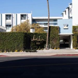 Short Stories Hotel Near The Grove