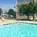 Cowtown Rodeo Arena Hotels - Wyndham Garden Philadelphia Airport