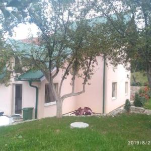 Apartments & Rooms Bojic