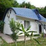 Guest accommodation in Betta 