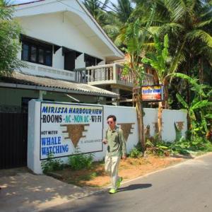 Mirissa Harbour View