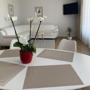 Apartamentai Fortuna