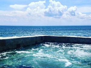 rock n reef, Ungasan