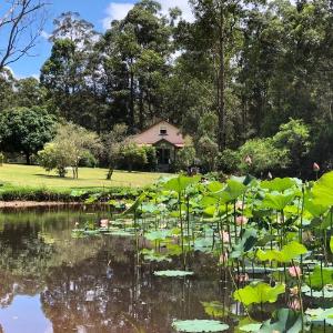 Westport Park Port Macquarie Hotels - Telegraph Retreat Cottages