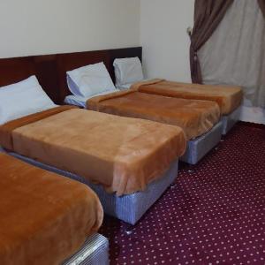 OYO 473 Rasiyat Al Safa Hotel