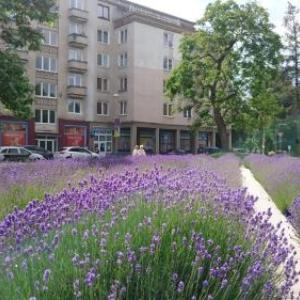 Apartments Letná AC&garage 89m2