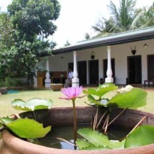 Mahawewa Nature Resort