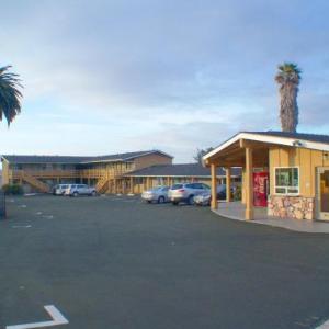 Ocean Palms Motel