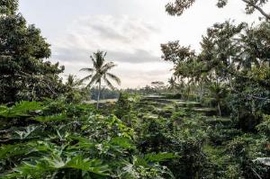 Villa Sekaya Ubud, Ubud