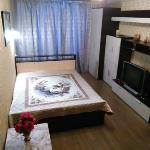 Apartment Kovalevskoy 7 Petrozavodsk 