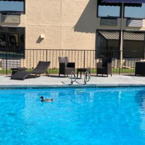 The Inn And Suites At 34 Fifty