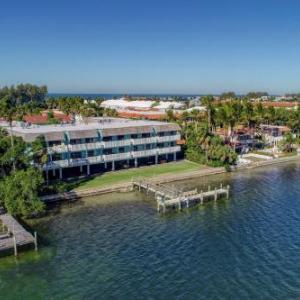 The Anna Maria Island Beach Palms 7A