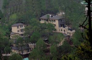 Jungle Lodge, Kasauli