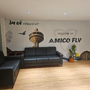 Amico Fly