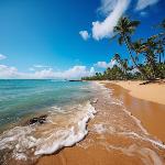 Spacious 2 BR in San Juan+Parking - Steps to Beach Puerto Rico