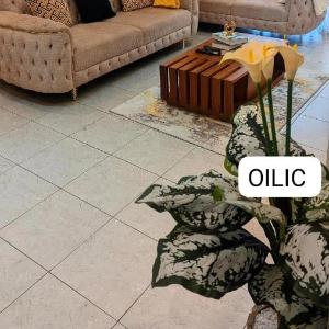 Oilic Apartments