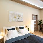Central - Green - Comfy