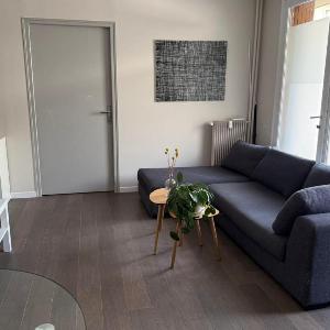 Apartment in the heart of the Avignon festival