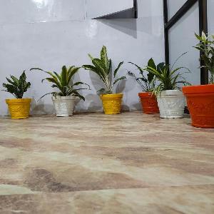 D'yogi Rooms & Dormitory