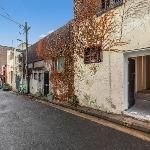 The Brass Bear in Darlinghurst Sydney 