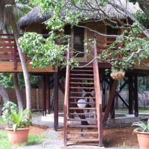 Ma cabane perchée Gite du Manial