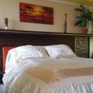 Safari Apartman