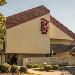 Seligman Performing Arts Center Hotels - Red Roof Inn Detroit - Royal Oak/ Madison Heights