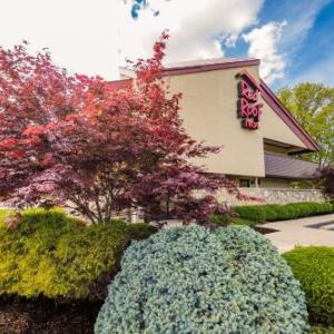 Hotels near Kings Island - Red Roof Inn Cincinnati Northeast - Blue Ash